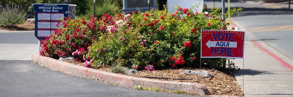 A picture of the entrance to the Sebastopol Veterans Memorial Building parking lot during the June 2026 Primary Election. A row of flowers sits between a "VOTE HERE" sign on the right and an Official Ballot Drop Box on the left.