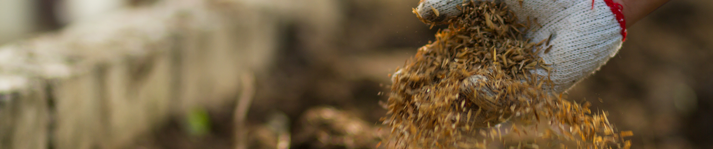 Image of a hand sifting through compost