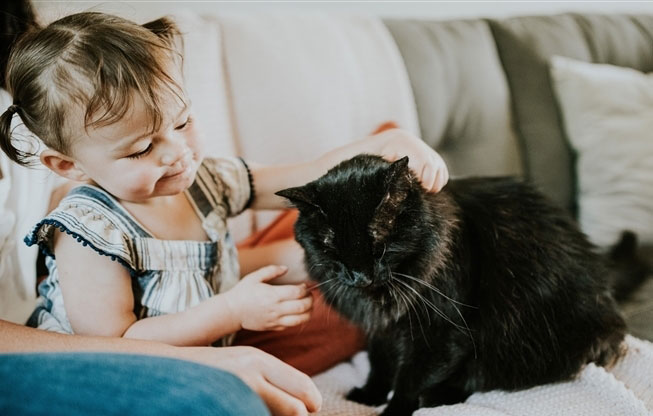 child petting black cat
