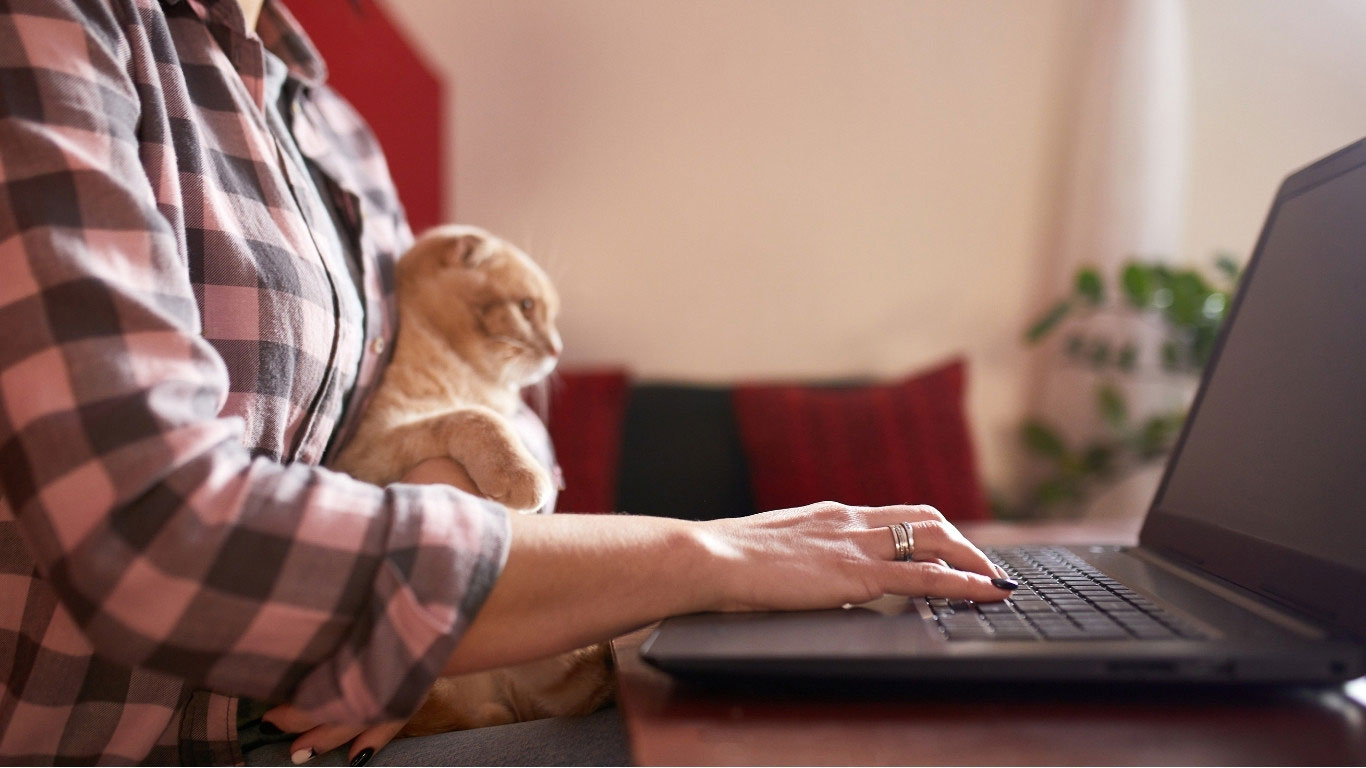 Woman typing on laptop while holding an orange tabby cat