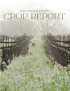 2025 Crop Report Cover Image