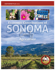 Crop Report Plus Cover